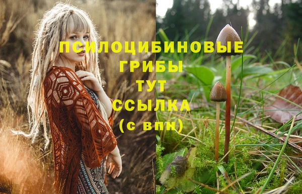 каннабис Алексеевка