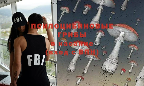 ГАЛЛЮЦИНОГЕННЫЕ ГРИБЫ Алзамай
