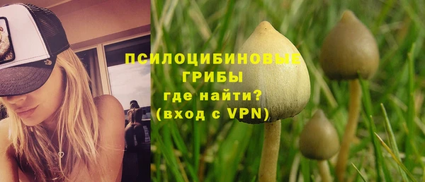 ГАЛЛЮЦИНОГЕННЫЕ ГРИБЫ Алзамай